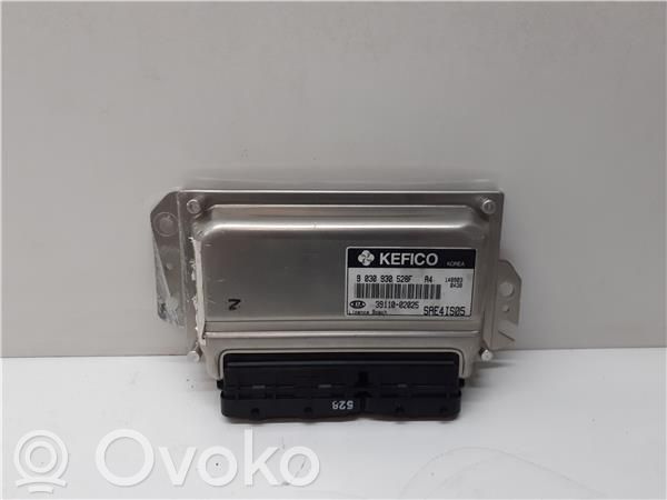 Engine control unit/module   3911002025