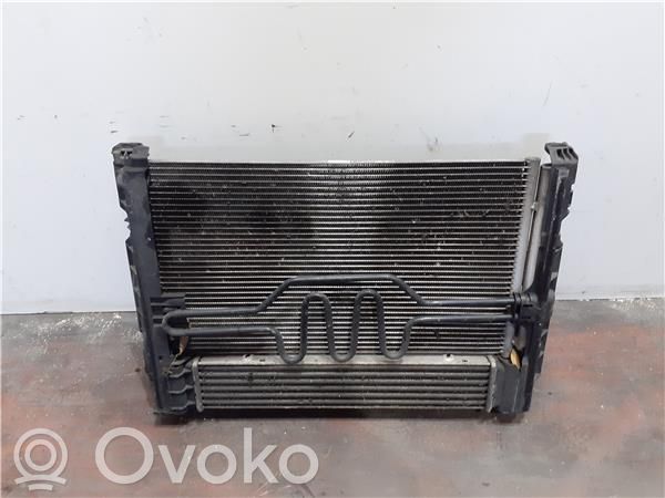 Radiador intercooler   17517524916