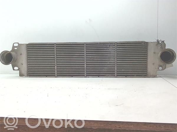 Volkswagen Multivan T5 Chłodnica powietrza doładowującego / Intercooler 