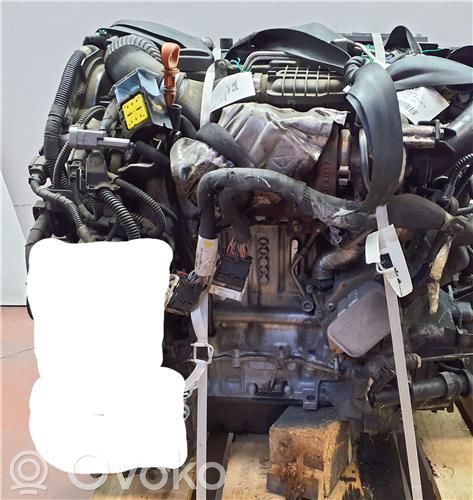 Motor   8H01