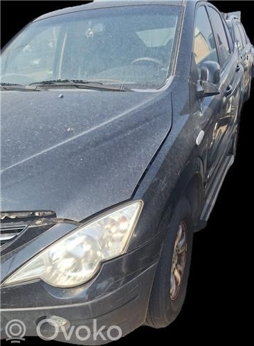 SsangYong Actyon Galinės durys 