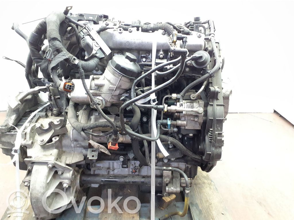 Motor   55578954,A17DTR