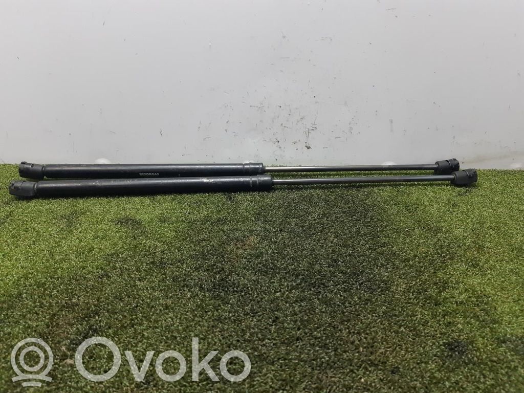 Citroen TEST Tailgate/trunk strut/damper 