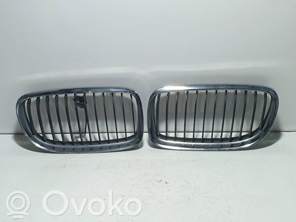 Kühlergrill   51137201967,51137201968