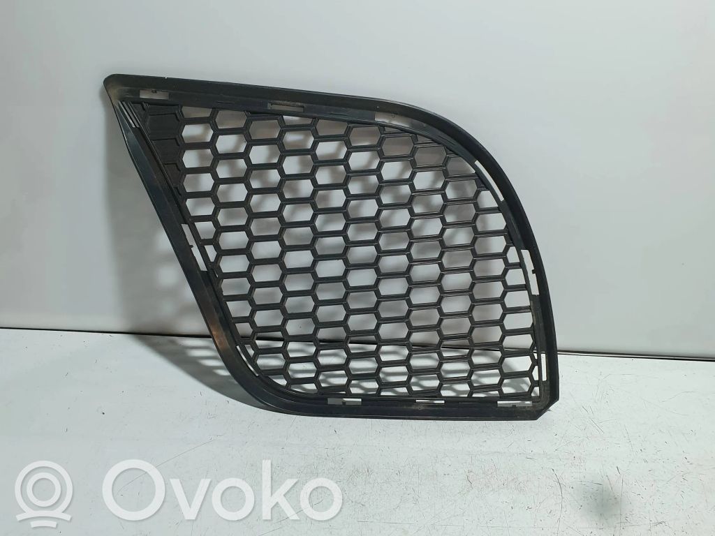 BMW X6 E71 Front bumper lower grill 
