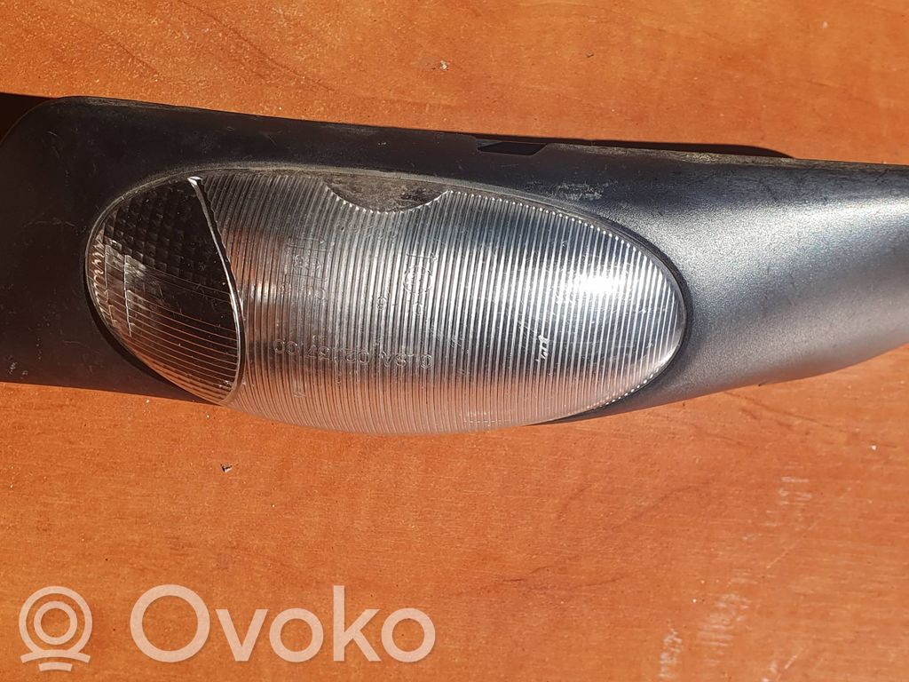 Iveco Daily 35 - 40.10 Seitenblinker 