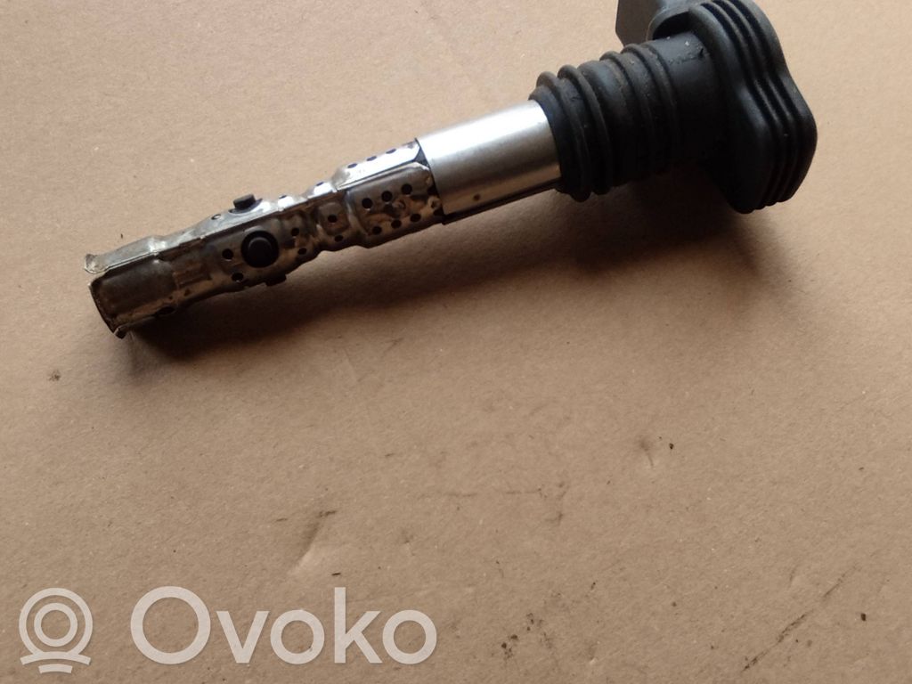 Volkswagen Golf VI Aukštos įtampos ritė "babyna" 