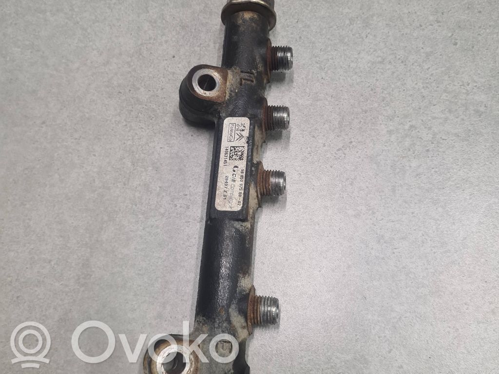 Peugeot Partner Rampă alimentare injectoare 