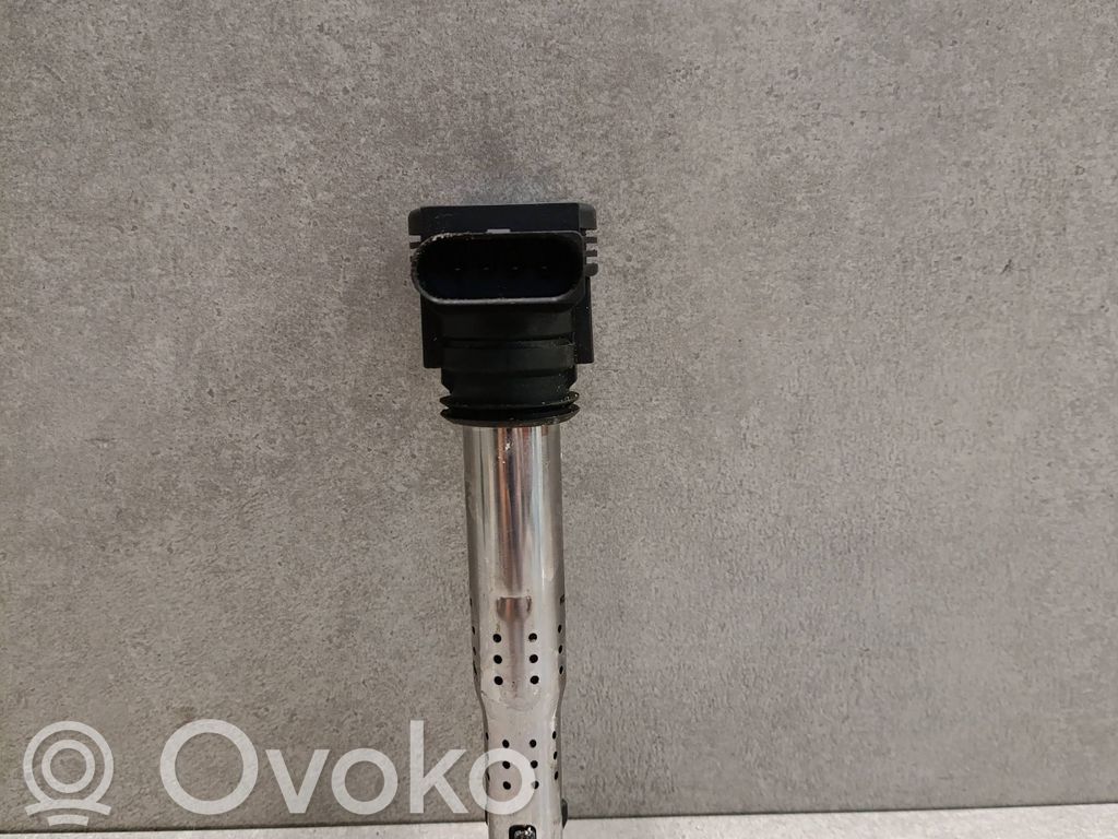 Audi A6 S6 C6 4F Aukštos įtampos ritė "babyna" 