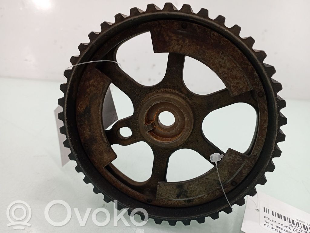 Citroen C3 Camshaft pulley/ VANOS 