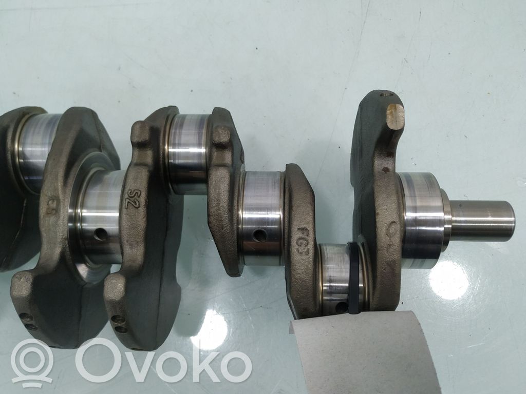 Seat Leon (1P) Crankshaft 