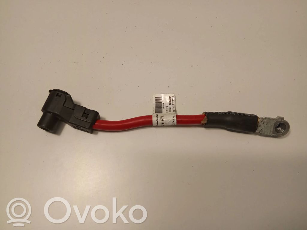 Plus / Klema / Przewód akumulatora   8220204,3220204,222019,8630204