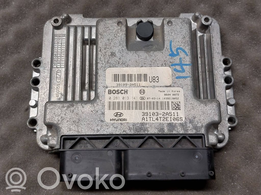 Hyundai Getz Engine control unit/module 
