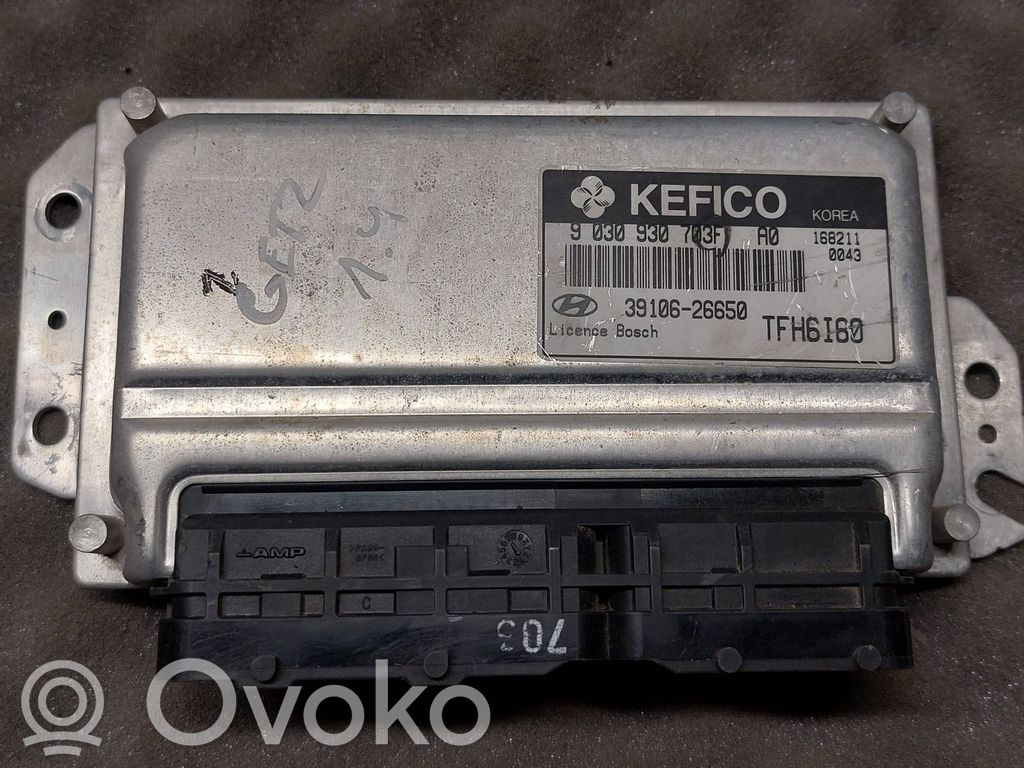 Hyundai Getz Engine control unit/module 