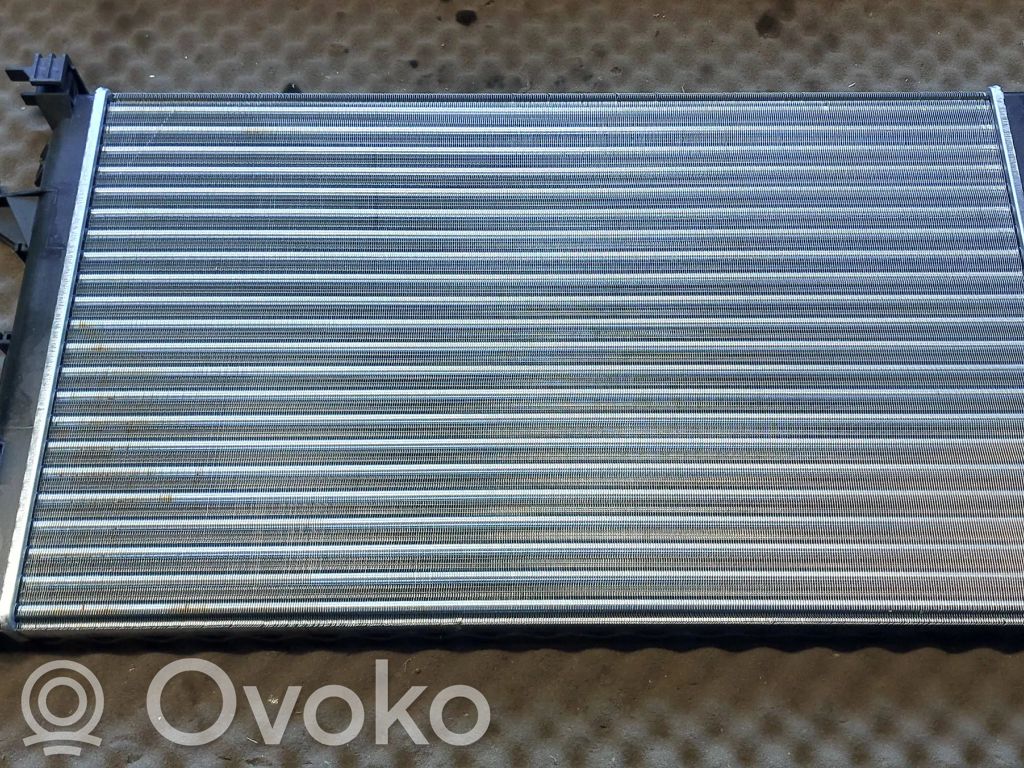 Aušinimo skysčio radiatorius   63813