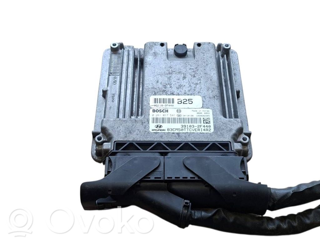 Hyundai Santa Fe Engine control unit/module 