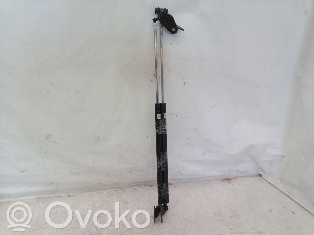 Tailgate/trunk strut/damper