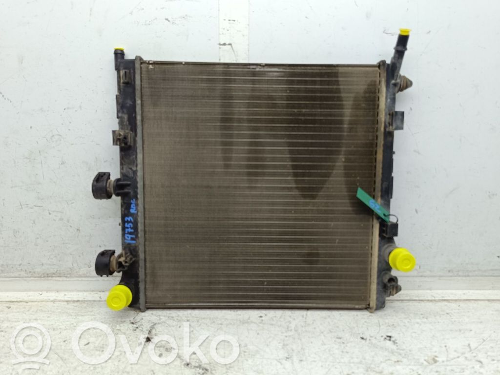 Citroen C2 Radiatore di raffreddamento 