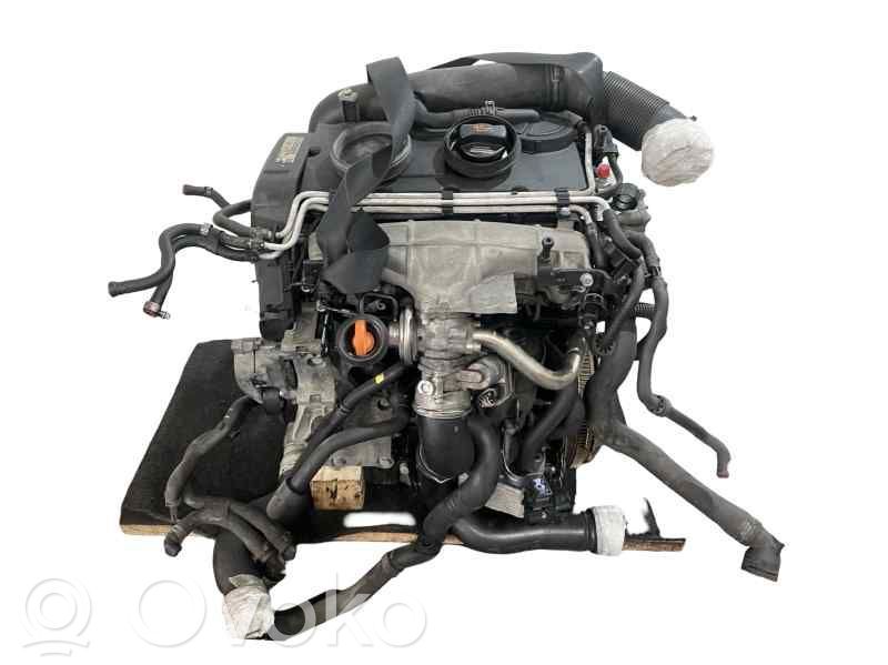 Motor   BKP,03G100098CX