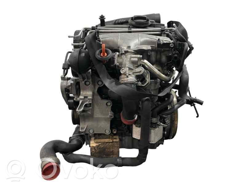 Motor   BKP,03G100098CX