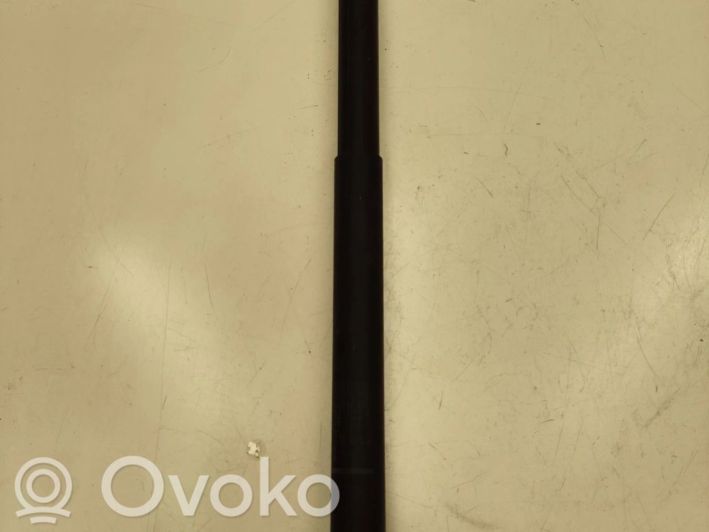 Volkswagen T-Roc Tailgate/trunk strut/damper 