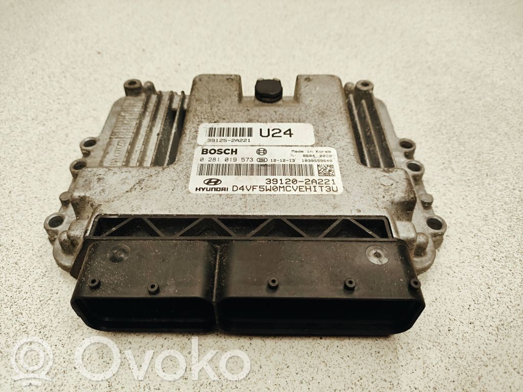 Engine control unit/module   0281019573,391252A221,391202A221