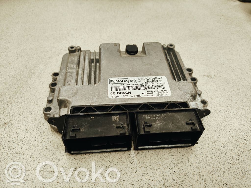 Ford Focus Engine control unit/module 