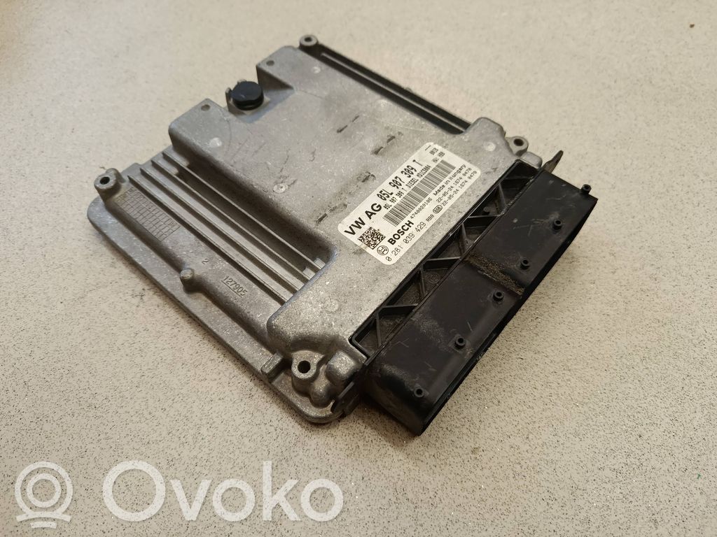 Volkswagen Passat Alltrack Engine control unit/module 