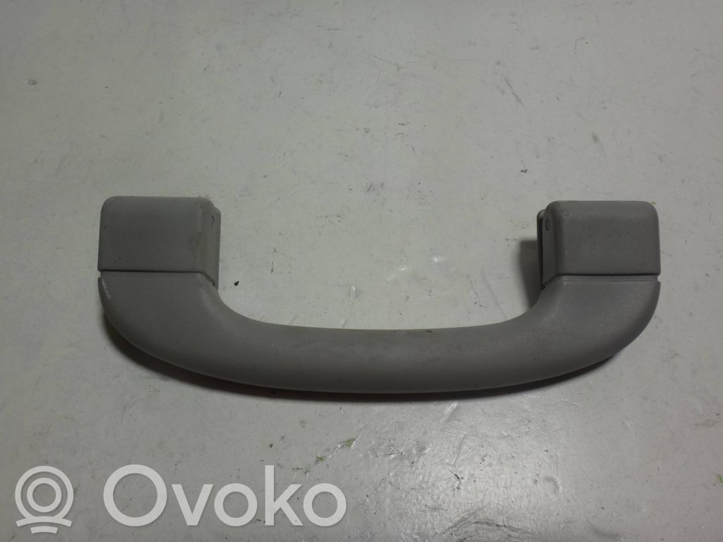 Asidero interior delantero   9143516