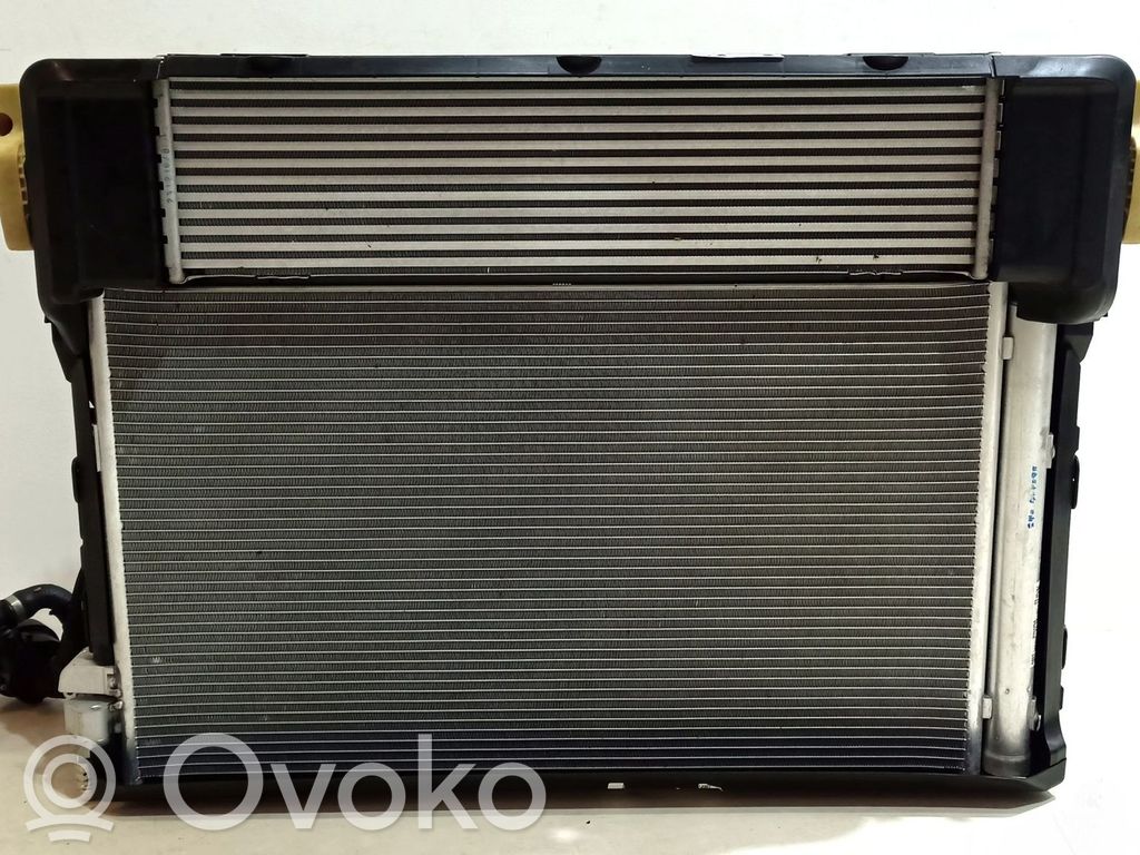BMW 5 G30 G31 G38 Radiator lichid răcire 