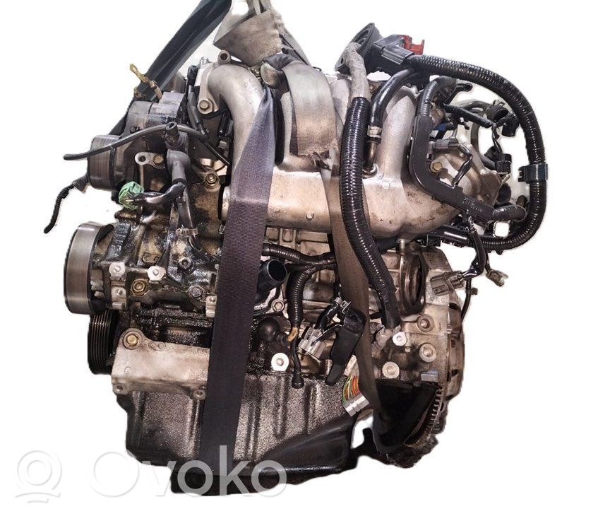 Honda Accord Motore completo