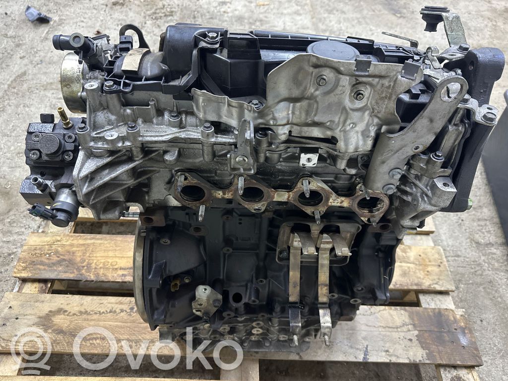 Renault Koleos II Variklis 