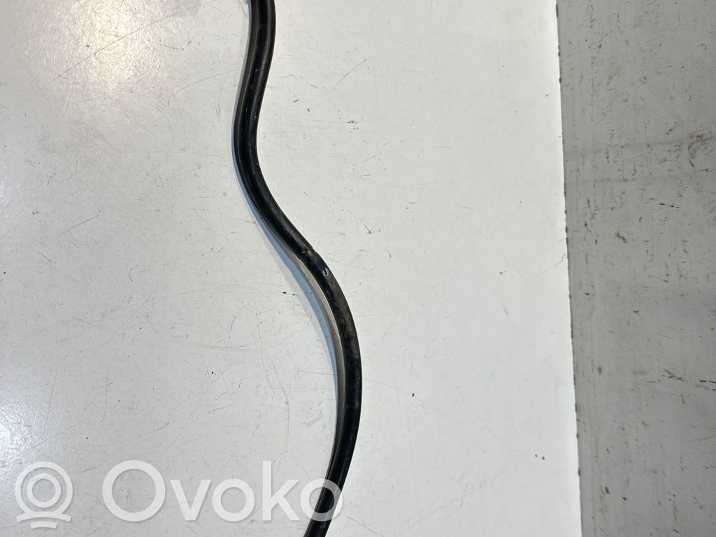 Ford Focus Cable negativo de tierra (batería) 