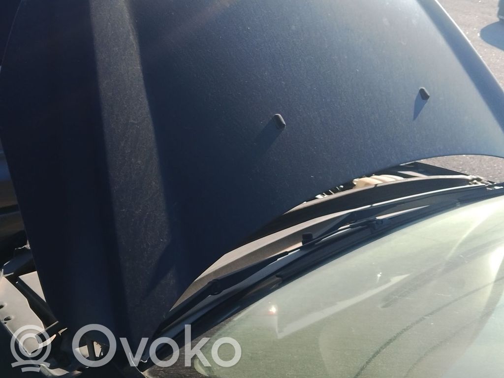 Motorhaube