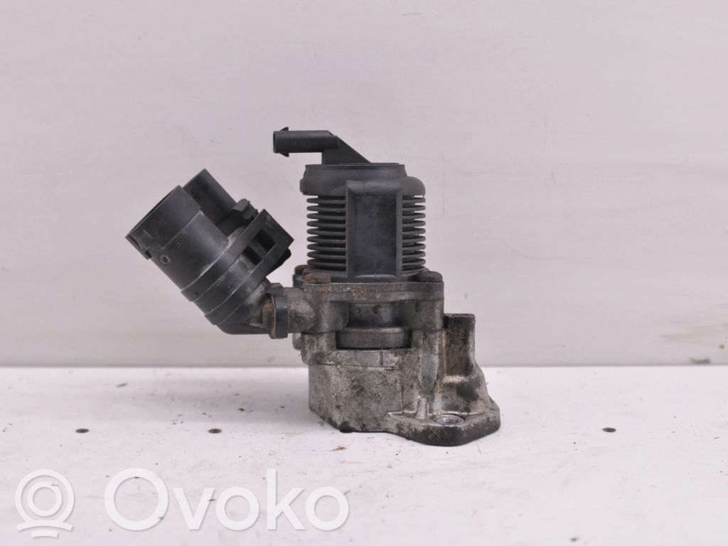 Volkswagen Golf VI EGR valve 