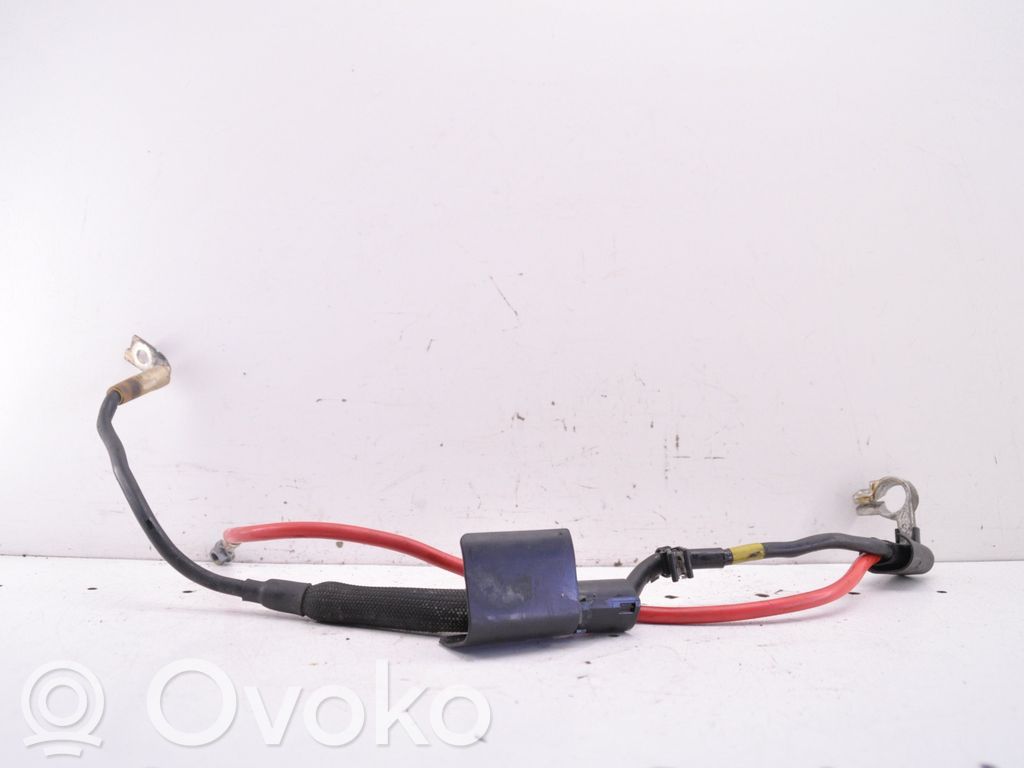 Skoda Octavia Mk2 (1Z) Pliusinis laidas (akumuliatoriaus) 