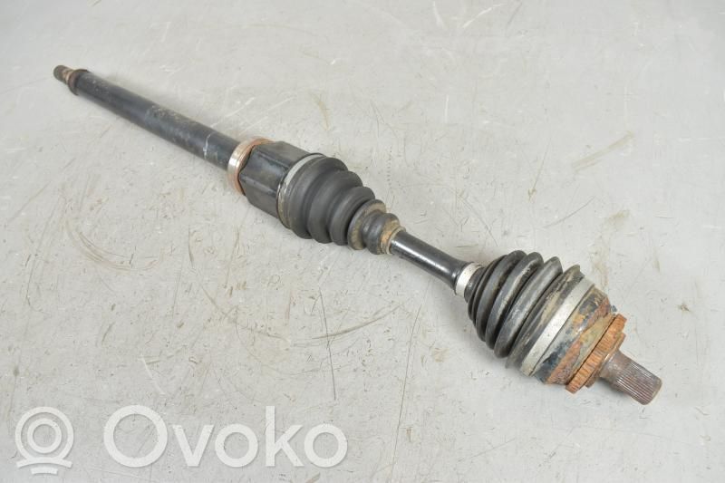 Priekšējā pusass   8252046