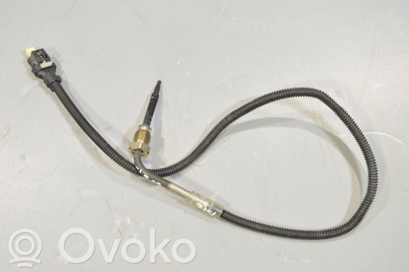 Abgastemperatursensor   A0009059704