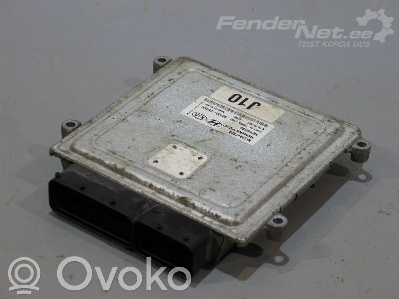 Hyundai Sonata Unité de commande, module ECU de moteur 