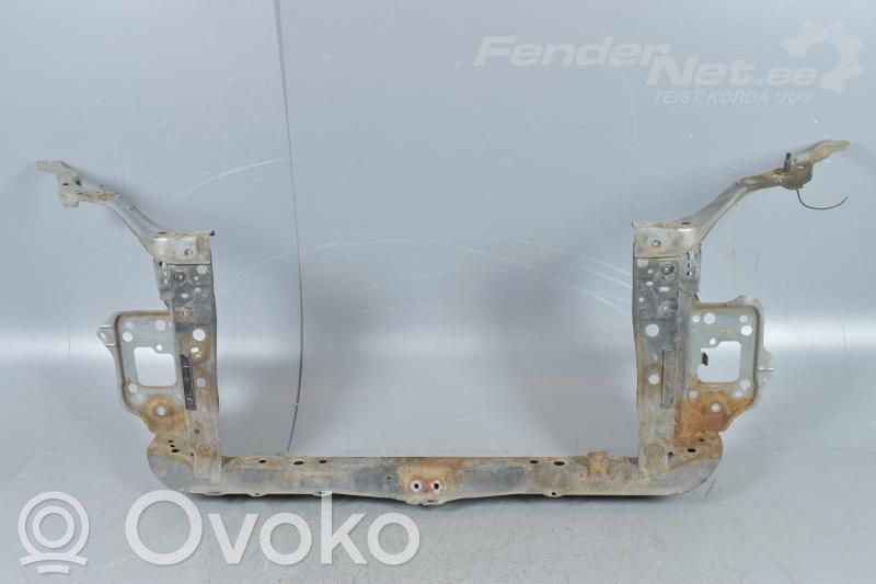 Radiatorių panelė   53029AJ1709P