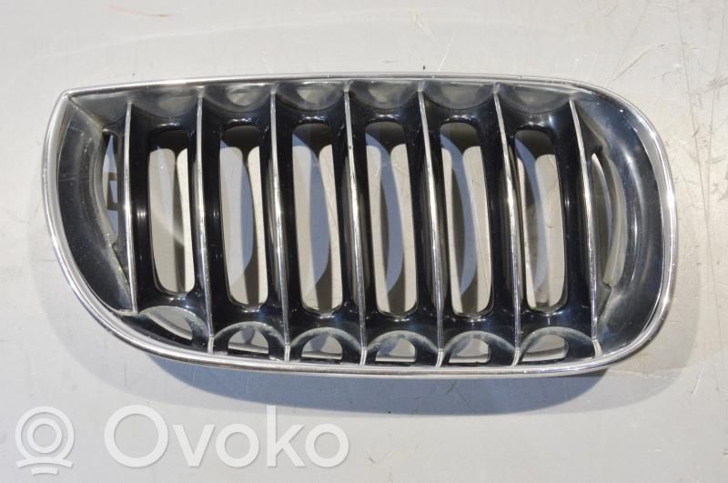 BMW X3 E83 Front grill 