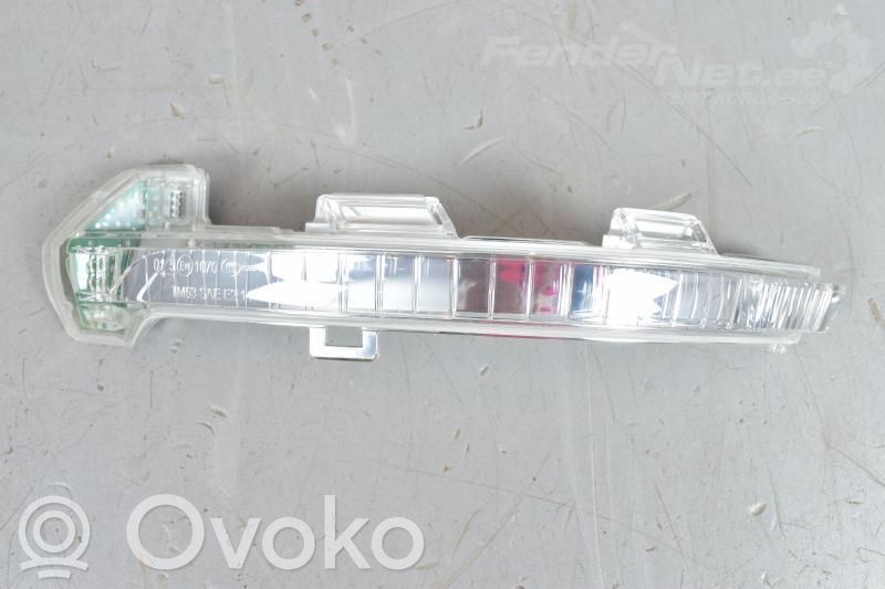 Volkswagen PASSAT B8 Semnalizator pe oglindă 