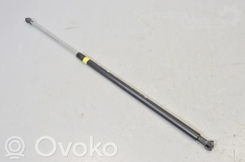 Tailgate strut   5802A002