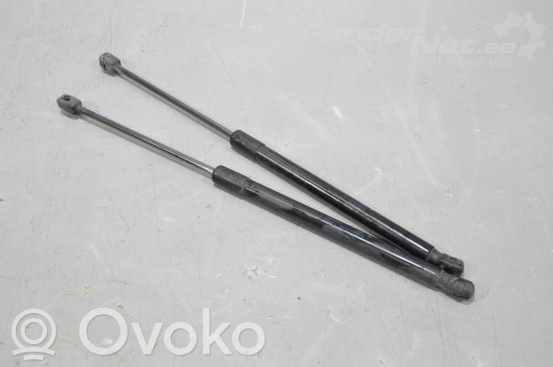 Tailgate strut   4F9827552A