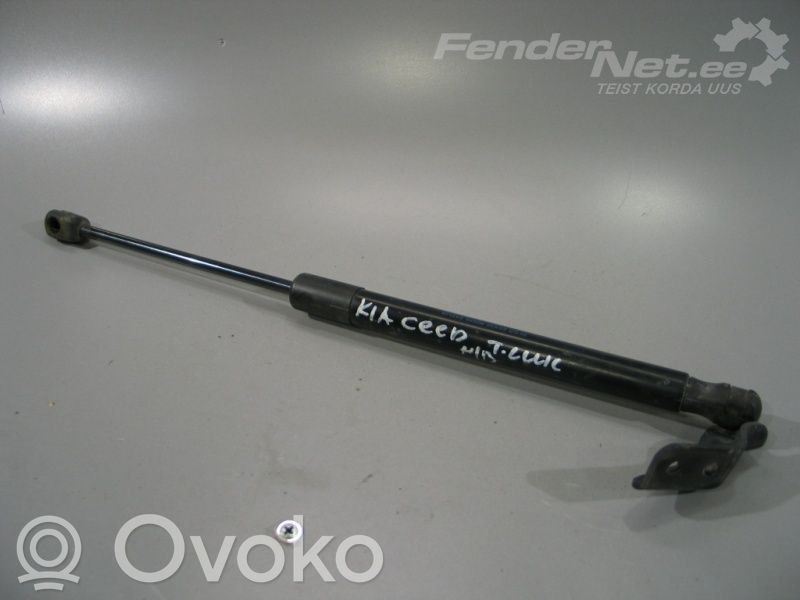 Tailgate strut   817701H010