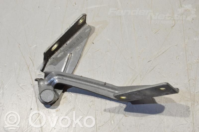 Ford Focus Dzinēja pārsega eņģe (-es) 