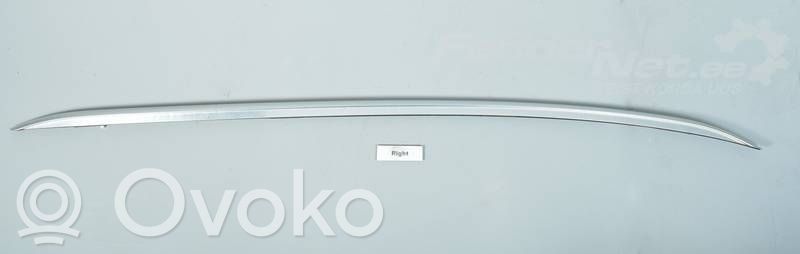 Ford Focus Kattokisko 