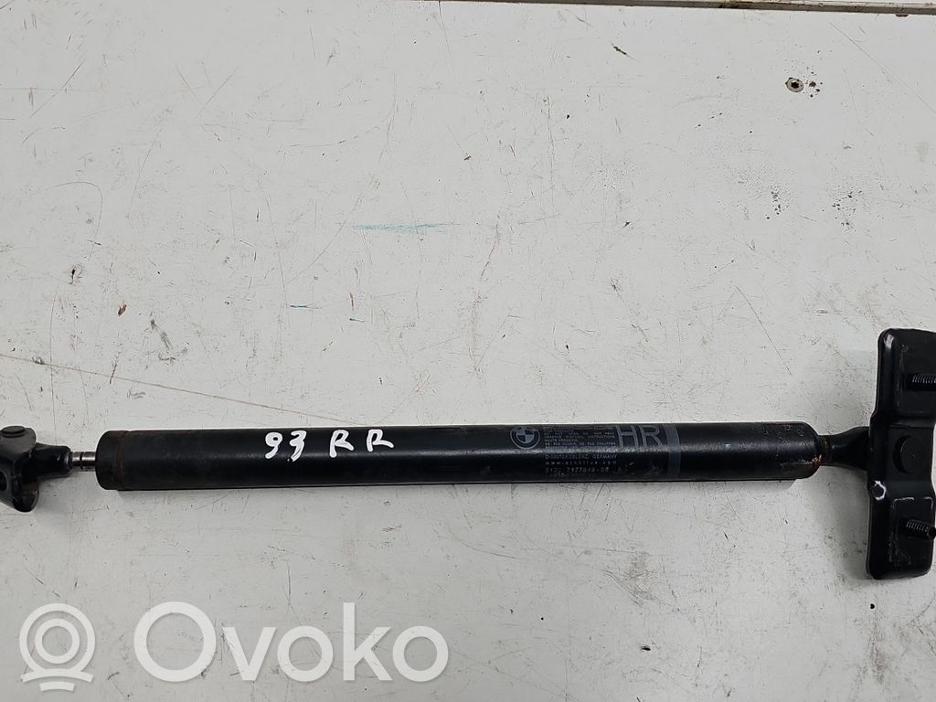 Ogranicznik drzwi tylnych   51227177648,7177648,7177648