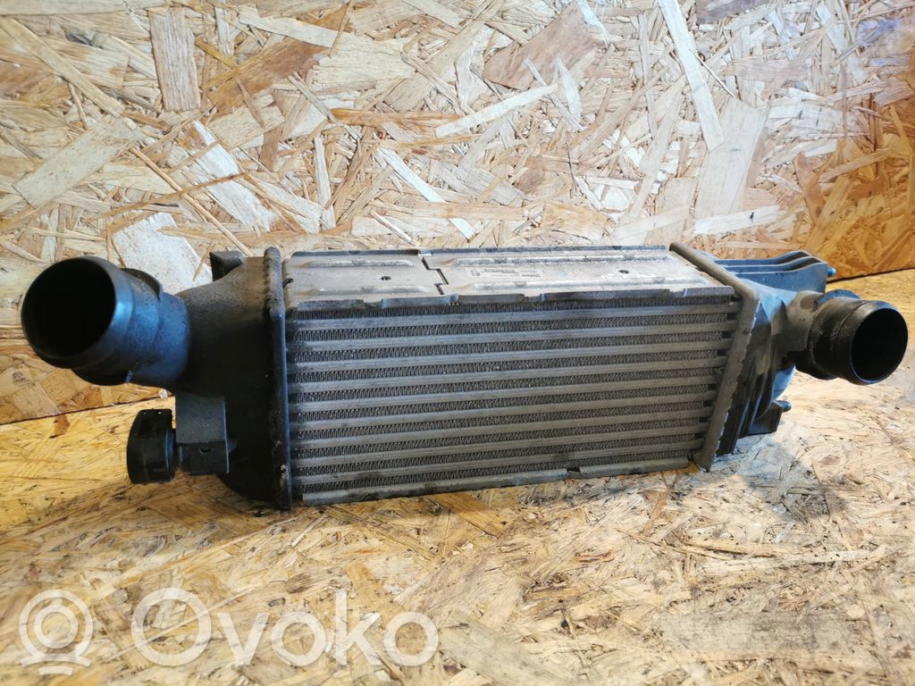 Peugeot 407 Intercooler radiator 