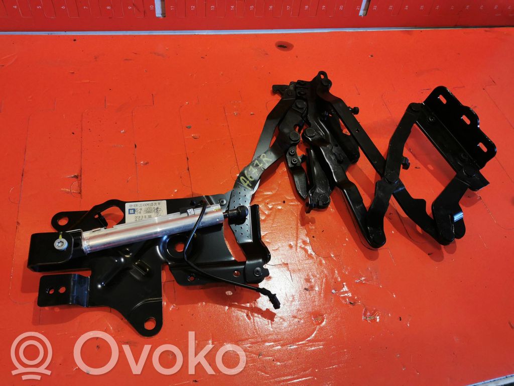 Tailgate/trunk/boot hinge   13247431,133000603,28062006,133073901